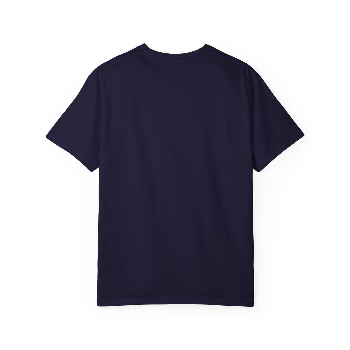 Back-To-Back Champ (In My Dreams) Heavyweight Garment-Dyed Tee